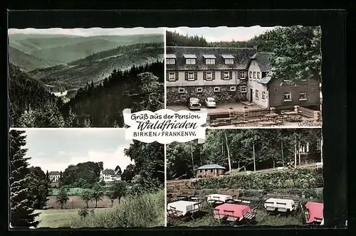 AK Birken /Frankenwald, Landschaftspanorama und drei Ansichten von der Pension Waldfrieden