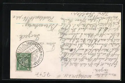 AK Wildbad, Gesamtansicht vom Flugzeug aus