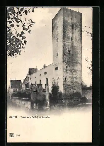AK Grünwald, Turm vom Schloss