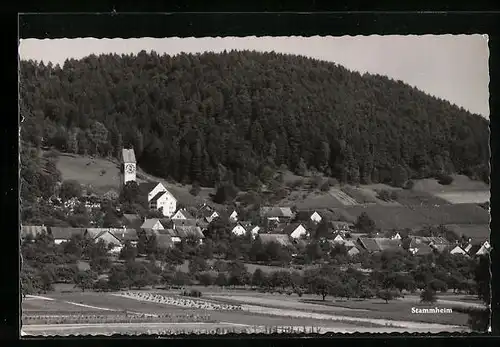 AK Stammheim, Ortsansicht mit Kirche