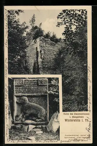 AK Winterstein, Ruine des Stammschlosses v. Wangenheim