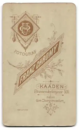 Fotografie F. Chromy, Kaaden, Brunnersdorfergasse 509, Niedliches kleines Baby in weissem Kleid auf grossem Stuhl