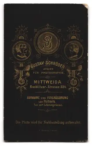 Fotografie Gustav Schröder, Mittweida, Rochlitzer Strasse 234, junger Bürgerlicher mit Segelohren und Mittelscheitel