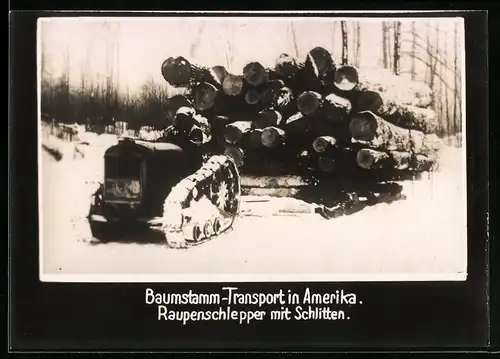 Fotografie Raupenschlepper transportiert Baumstämme mit einem Schlittten in Amerika