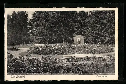 AK Bad Lausick, Partie im Rosengarten