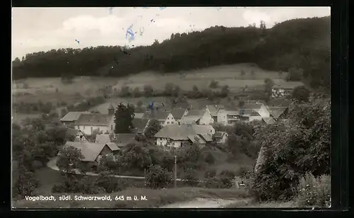 AK Vogelbach /südl. Schwarzwald, Ortsansicht bei Tag