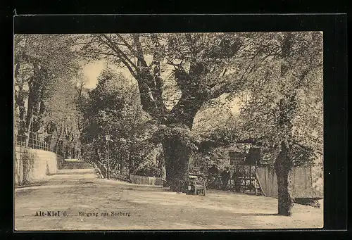 AK Alt-Kiel, Eingang zur Seeburg