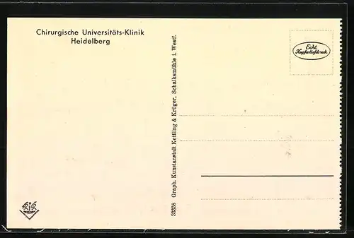 AK Heidelberg, Chirurgische Universitäts-Klinik, Blick von einer Liegeterrasse auf den Königstuhl