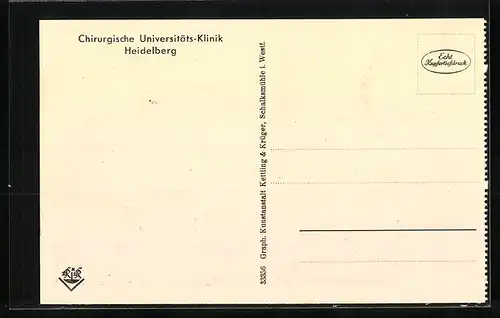 AK Heidelberg, Chirurgische Universitäts-Klinik, Liegeterrassen