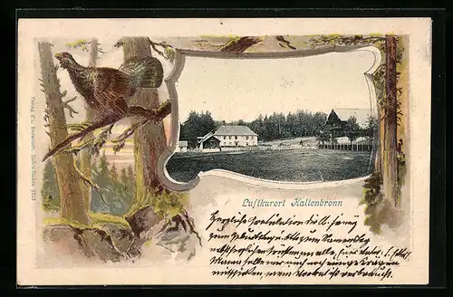 Passepartout-Lithographie Kaltenbronn, Partie im Ort, Auerhahn im Wald