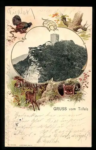 Passepartout-Lithographie Trifels, Partie an der Burgruine, Auerhahn, Reh und Fuchs