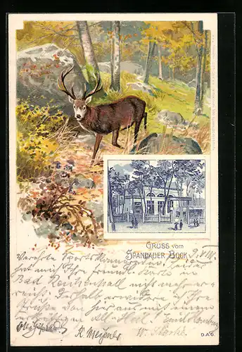 Lithographie Berlin-Spandau, Gruss aus der Gastwirtschaft Spandauer Bock, Hirsch im Wald