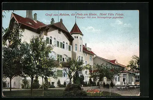 AK Mehlem a. Rh., Hotel Villa Frieda