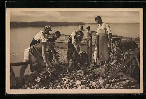 AK Die Chimseer Fischer: Ein guter Fang, Fischer schütten Fische in ein Netz