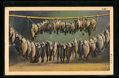 AK An Schnüren hängende Fische, Fischerei