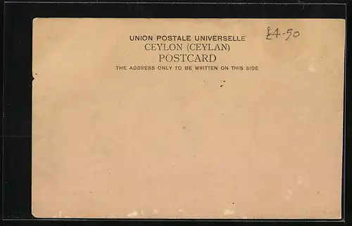 AK Colombo, Pettah and Town Hall