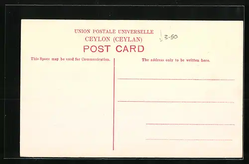 AK Kalutara, Banyan Tree