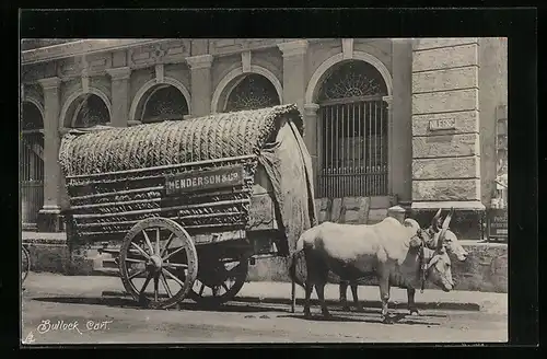 AK Bullock Cart, Ochsenkarren von Henderson & Co. auf Sri Lanka
