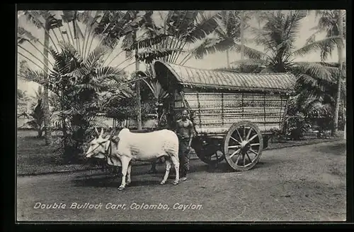 AK Colombo, Double Bullock Cart