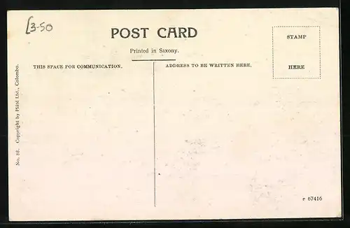 AK Colombo, Double Bullock Cart