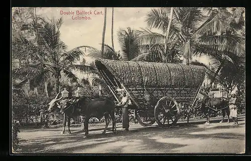 AK Colombo, Double Bullock Cart