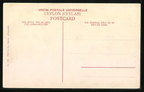 AK Pettah, Main Street