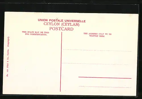 AK Colombo, Queen Street, showing Light House