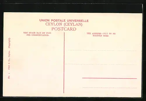 AK Colombo, Street Scene, Grand Pass, Strassenleben