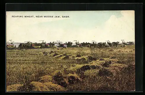 AK Moose Jaw / Sask., Reaping Wheat