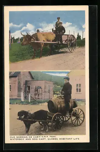 AK Québec, Old Norman Ox Cart, Waterboy and Dog Cart