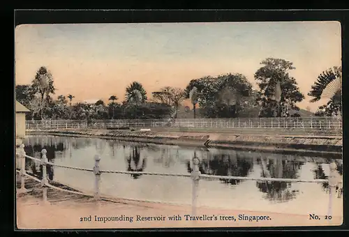 AK Singapore, 2nd Impounding Reservoir with Traveller`s trees
