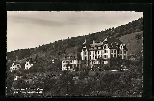 AK Brugg, Landwirtschaftliche und Haushaltungsschule