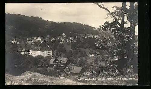AK Walzenhausen, Ortspartie mit Kloster Grimmenstein