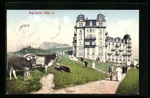 AK Rigi-Kulm, Ortspartie mit Kühen und Besuchern