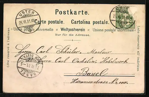 Lithographie Fischenthal, Gasthaus zum Hörnli, Blick zur Säntis-Gruppe