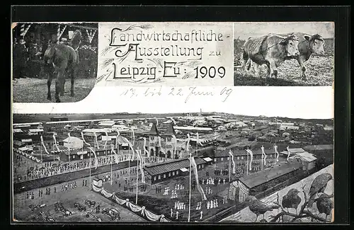 AK Leipzig-Eu, Landwirtschaftliche Ausstellung 1909