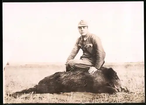 Fotografie 1.WK, Glücklicher Nimrod, K.u.k. Feldgrauer hat hinter der russischen Front ein Wildschwein erlegt