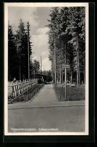 AK Schwarzenborn, Truppenübungsplatz, Hauptstrasse mit Bäumen