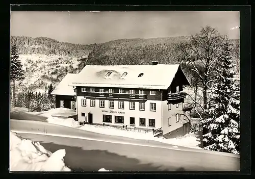 AK Feldberg-Bärental /Schwarzw., Gasthaus-Pension zum Bären O. Andis im Winter