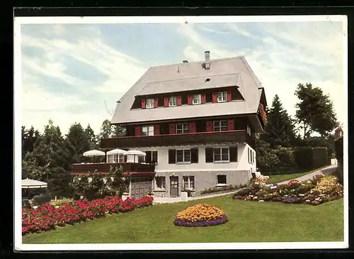 AK Hinterzarten /Schwarzw., Pension Bergfried Fr. Hinz