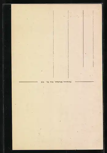 AK Kiel, Altes Rathaus und Nikolaikirche am Markt