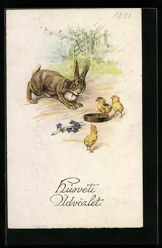 AK Osterhase und Küken am Wassernapf