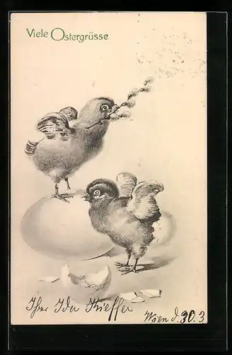 AK Osterküken mit Palmkätzchenzweig