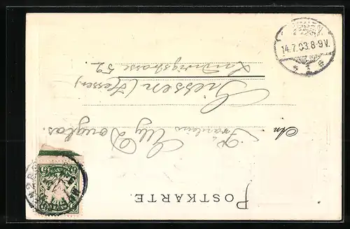 Passepartout-Lithographie Insel Mainau, Uferpartie mit Schloss, Wappen