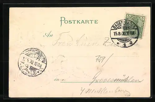 Passepartout-Lithographie Baden-Baden, Gesamtansicht, Jagdhund mit Beute, Wappen