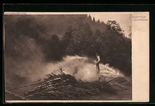 AK Kohlenmeiler im Schwarzwald, Forstwirtschaft