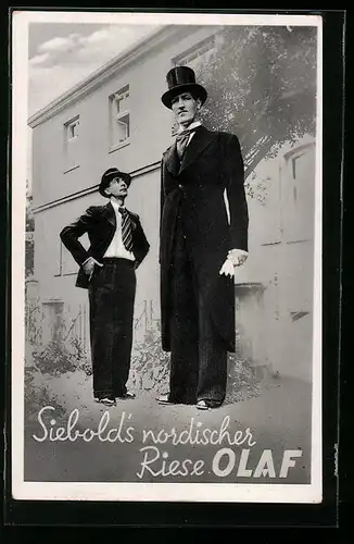 AK Siebolds nordischer Riese Olaf