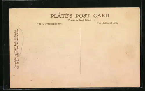 AK Nuwara Eliya, Golf Links