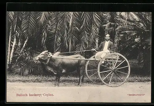 AK Ceylon, Bulloch hackery