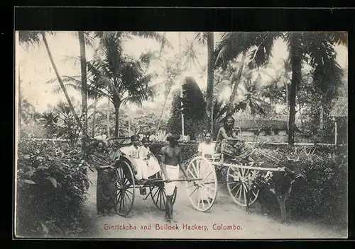 AK Colombo, Ginrikscha und Bullengespann